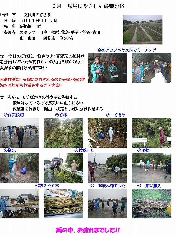 23　竹伐り